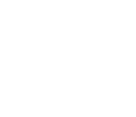 BEGIN.CAREER